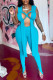 Blue Fashion Sexy Solid Hollowed Out Patchwork Backless V Neck Sleeveless Two Pieces