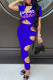Blue Sexy Print Hollowed Out Patchwork O Neck Short Sleeve Two Pieces
