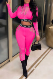 Pink Sexy Print Patchwork See-through Zipper Collar Long Sleeve Two Pieces