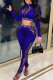Blue Sexy Print Patchwork See-through Zipper Collar Long Sleeve Two Pieces