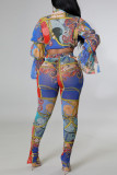 Multi-color Fashion Casual Print Hollowed Out V Neck Long Sleeve Two Pieces