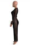 Black Fashion Sexy Solid Patchwork See-through O Neck Long Sleeve Dresses