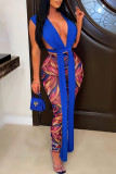 Pink Fashion Sexy Print Asymmetrical V Neck Sleeveless Two Pieces