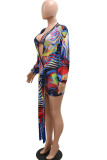 Blue Sexy Print Patchwork V Neck Long Sleeve Two Pieces