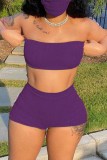 Blue Fashion Sexy Solid Backless Strapless Sleeveless Two Pieces