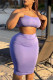 Purple Sexy Casual Solid Backless Strapless Sleeveless Two Pieces