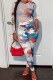 White Sexy Print Patchwork See-through O Neck Long Sleeve Two Pieces