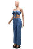 Light Blue Fashion Sexy Solid Backless Strapless Sleeveless Two Pieces