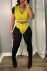 Yellow Fashion Solid Patchwork Turndown Collar Short Sleeve Two Pieces