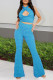 Blue Fashion Casual Solid Hollowed Out Backless Halter Sleeveless Two Pieces