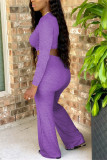 purple Casual Solid Straight Long Sleeve Two Pieces