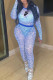 Blue Fashion Sexy Print Letter O Neck Long Sleeve Two Pieces