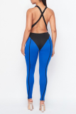 Blue Sexy Solid Backless Spaghetti Strap Skinny Jumpsuits