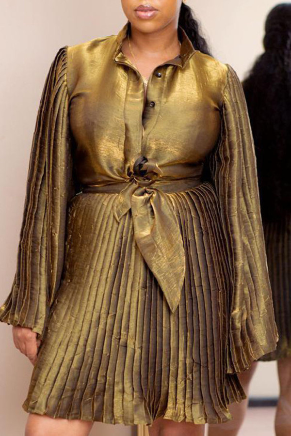 Gold Casual Solid Patchwork Buckle Fold A Line Dresses