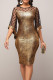 Gold Casual Solid Make Old Patchwork See-through O Neck One Step Skirt Dresses
