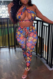 Multicolor Fashion Sexy Print Hollowed Out Backless Halter Sleeveless Two Pieces