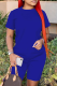 Blue Fashion Solid Patchwork O Neck Short Sleeve Two Pieces