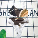 White Fashion Sexy Print Patchwork Swimwears