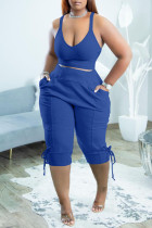Blue Sexy Solid Split Joint V Neck Two Pieces