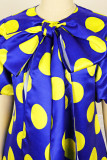 Blue Elegant Print Patchwork With Bow O Neck A Line Dresses