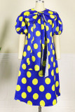 Blue Elegant Print Patchwork With Bow O Neck A Line Dresses