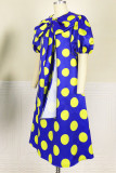 Blue Elegant Print Patchwork With Bow O Neck A Line Dresses