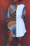 Multicolor Casual Print Patchwork Zipper Dresses