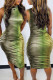 Green Fashion Casual Print Basic O Neck Sleeveless Dress