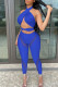 Blue Sexy Solid Hollowed Out Patchwork See-through Halter Sleeveless Two Pieces