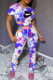 Purple Fashion Street Tie Dye Letter O Neck Short Sleeve Two Pieces