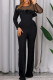Black Fashion Casual Solid Patchwork See-through O Neck Regular Jumpsuits