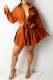 Brown Fashion Sexy Print Patchwork Turndown Collar Long Sleeve Two Pieces