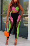 Pink Green Sexy Solid Patchwork See-through O Neck Sleeveless Two Pieces