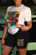 Multi-color Fashion Casual Print Patchwork O Neck Short Sleeve Two Pieces