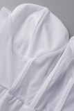 White Sexy Solid Mesh Off the Shoulder Long Sleeve Two Pieces