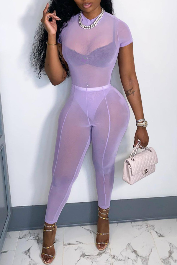 Purple Fashion Sexy Solid See-through O Neck Short Sleeve Two Pieces