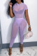 Purple Fashion Sexy Solid See-through O Neck Short Sleeve Two Pieces