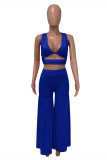 Blue Fashion Casual Solid Hollowed Out Split Joint Backless V Neck Sleeveless Two Pieces