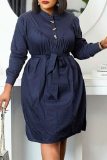 Light Blue Casual Solid Patchwork Turndown Collar Shirt Dress Dresses