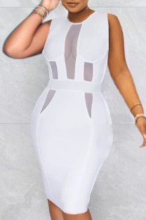 White Elegant Solid Split Joint See-through O Neck Dresses