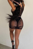 Black Sexy Solid Hollowed Out See-through O Neck One Step Skirt Dresses