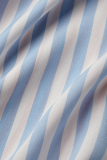 Colour Casual Striped Patchwork Turndown Collar Shirt Dress Dresses