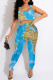 Sky Blue Sexy Print Patchwork Spaghetti Strap Sleeveless Two Pieces