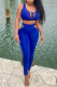 Blue Sexy Solid Bandage Hollowed Out Patchwork U Neck Sleeveless Two Pieces