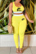 Yellow Fashion Sportswear Print Letter U Neck Sleeveless Two Pieces