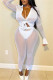 White Fashion Sexy Solid Patchwork See-through Turndown Collar Long Sleeve Two Pieces