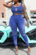 Blue Fashion Sexy Print Patchwork U Neck Sleeveless Two Pieces