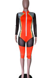 Rose Red Sexy Solid Patchwork See-through Zipper Collar Regular Rompers