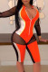 Orange Sexy Solid Patchwork See-through Zipper Collar Regular Rompers