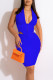 Royal Blue Sexy Solid Patchwork Backless Asymmetrical Halter Sleeveless Two Pieces